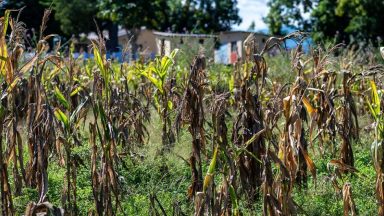 Scottish aid worker tells of devastating food poverty in Zimbabwe