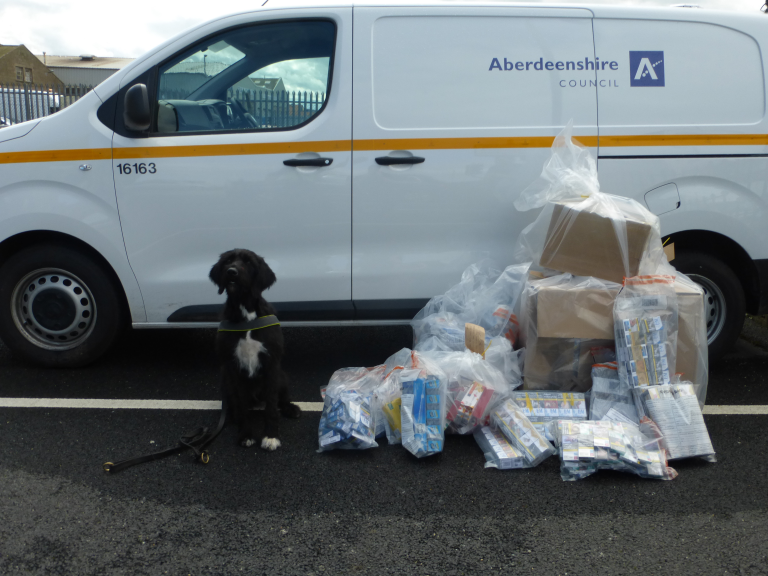 Tradion Standards: Boo is a specialist tobacco sniffer dog.