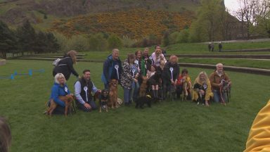 Holyrood Dog of the Year competition returns for first time since 2019 due to coronavirus pandemic