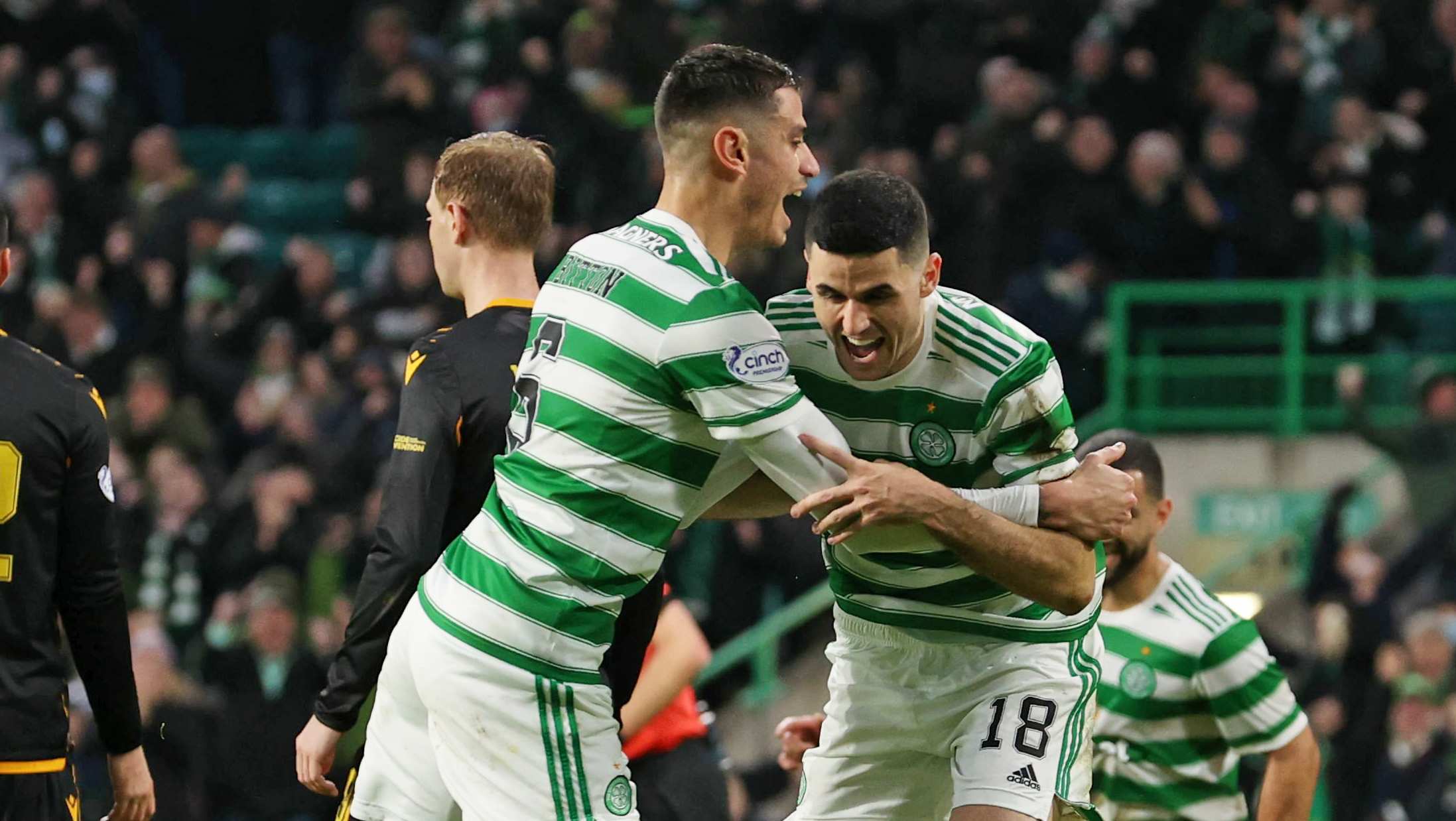 Bitton and Rogic have collected a combined 34 winners medals at Celtic.