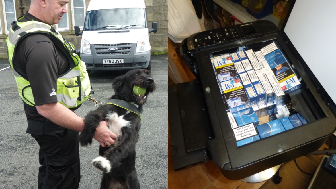 Detection dog Boo sniffs out £18,000 of illegal cigarettes and tobacco products in Aberdeenshire