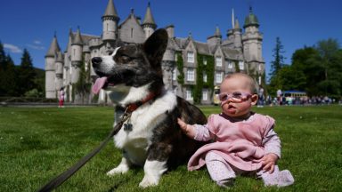 Dozens of corgis gather at Balmoral as part of Queen’s Platinum Jubilee celebrations