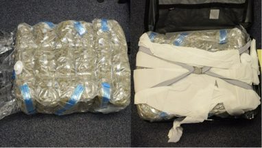 Man ‘acting suspiciously’ on Glasgow-bound train leaves suitcase containing £6,000 worth of cannabis on board
