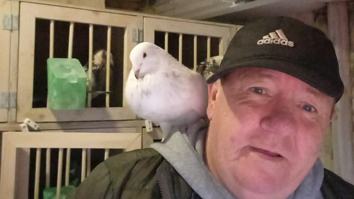 Pigeon fanciers ordered by Glasgow City Council to tear down loft they built on waste ground