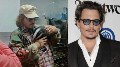 Johnny Depp cuddles badger cubs at UK centre as he continues Jeff Beck tour