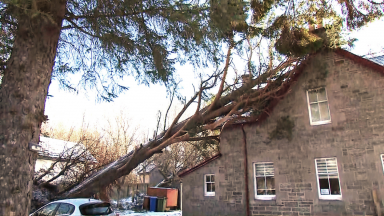 Electricity providers need to ‘raise game’ after thousands left without power after Storm Arwen
