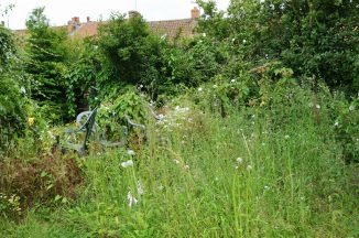 West Lothian Council to take action against householders with scruffy gardens in Bathgate