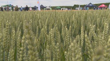 Farmers have been meeting with scientists as part of the annual Arable Scotland event