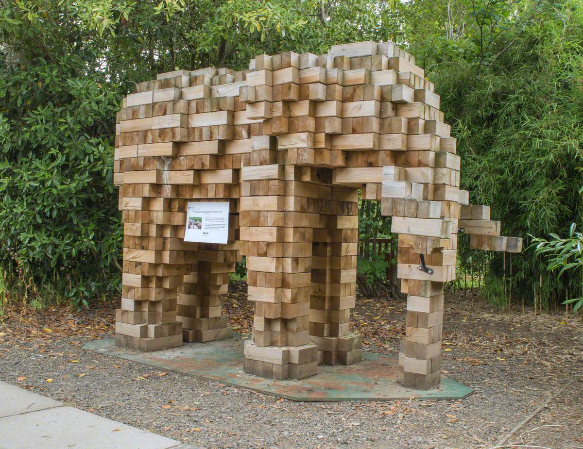 Elephant (Pic: David Oudney)