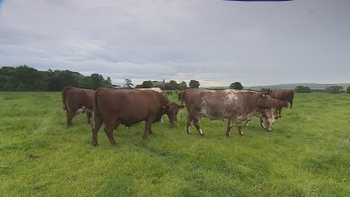 We speak to farmers who are tightening their belts, ahead of what’s likely to be a hard winter