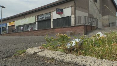 Council defends scheme to use volunteers to pick litter