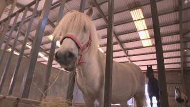 Animal sanctuaries feeling cost of living squeeze