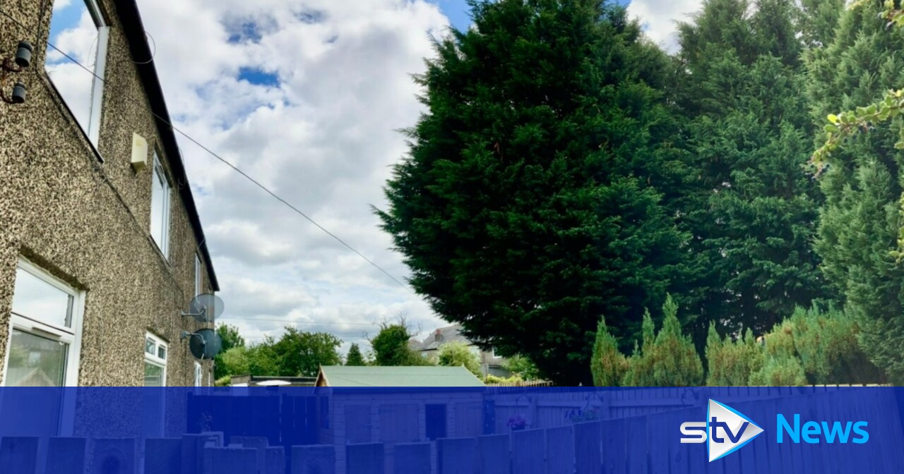 Edinburgh landlord ordered to cut back 40ft hedge on Crewe Crescent