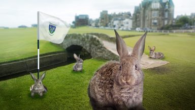 The Open: ‘Rabbit Wars’ nearly stopped St Andrews becoming the home of golf