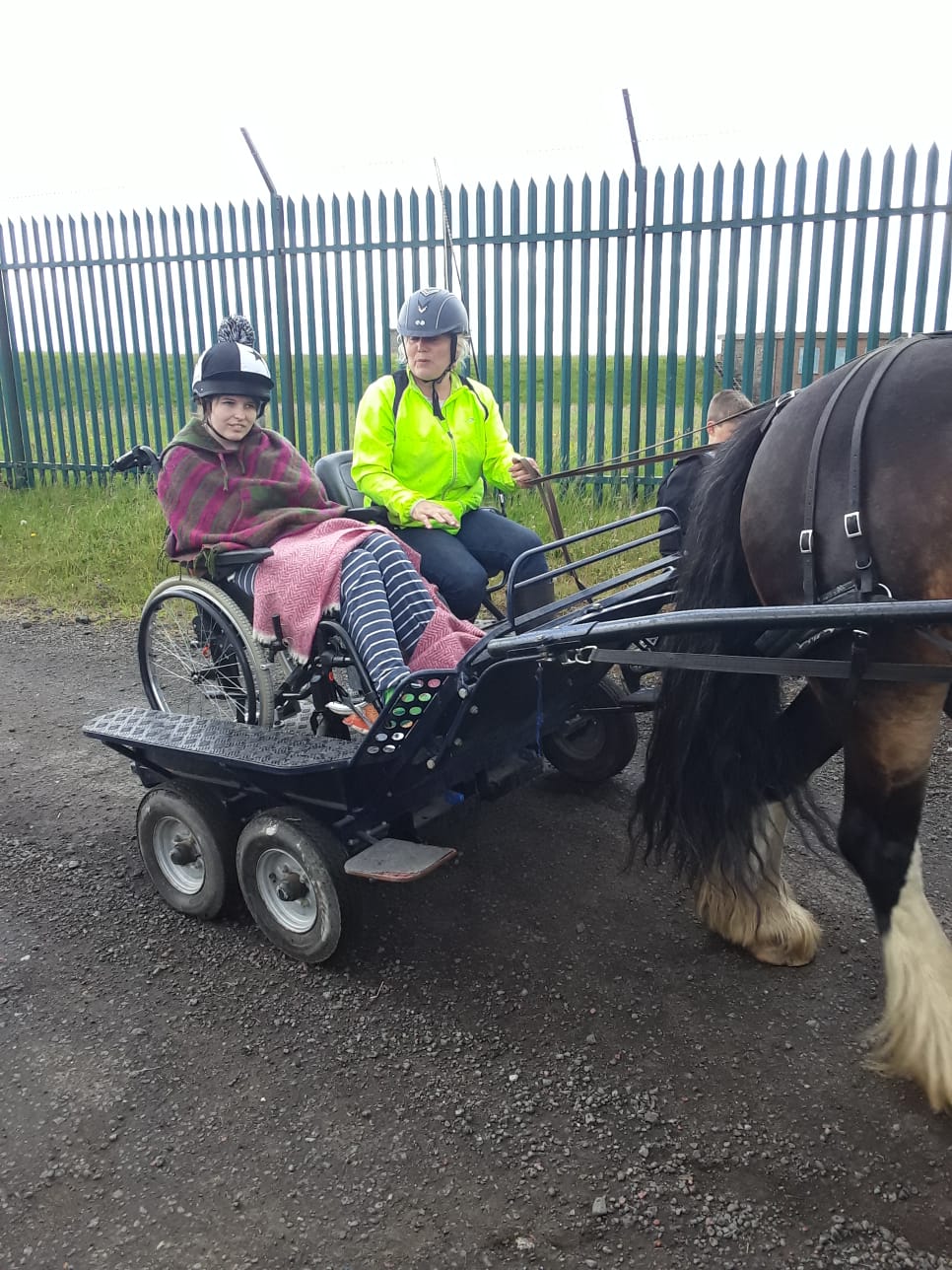 Jamie held the reins during a horse and carriage ride recently. 