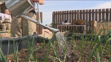 Sunshine Kitchen helps additional support youngsters learn to cook and grow food
