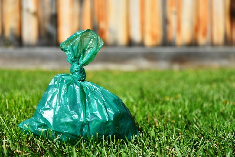 If bins are full or overflowing, take dog-poo bags home and double-bag them. 