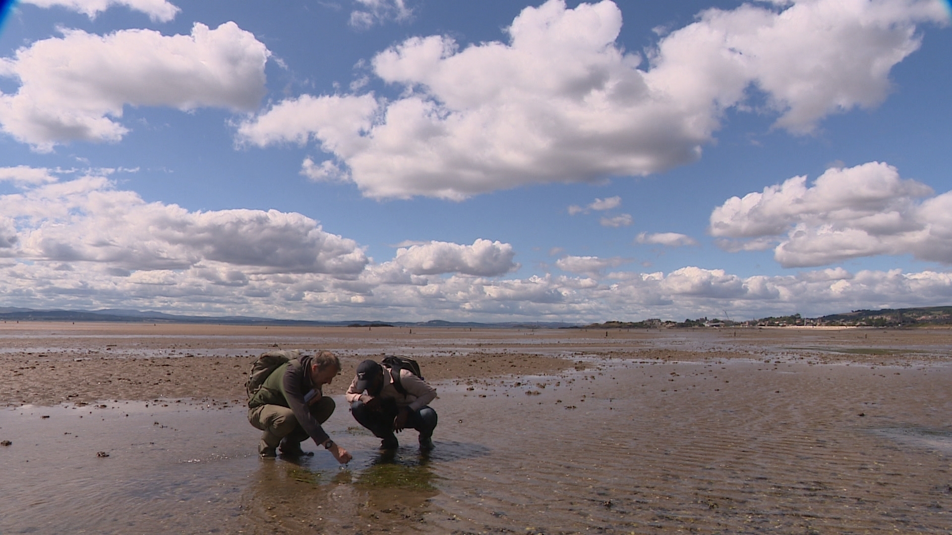 Marine biologists have already begun mapping seagrass meadows at Kinghorn.