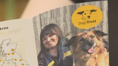 Tayside Dogs Trust calling for more foster carer volunteers