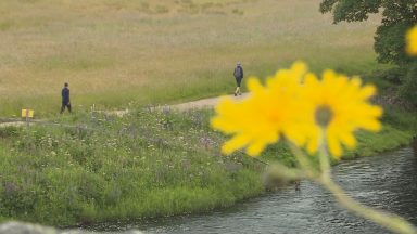 Cairngorms National Park to undergo restoration project