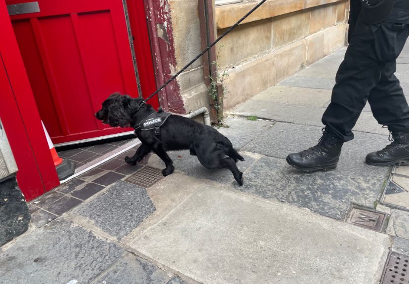 A police dog was present during the raids. (Pic: Police Scotland)