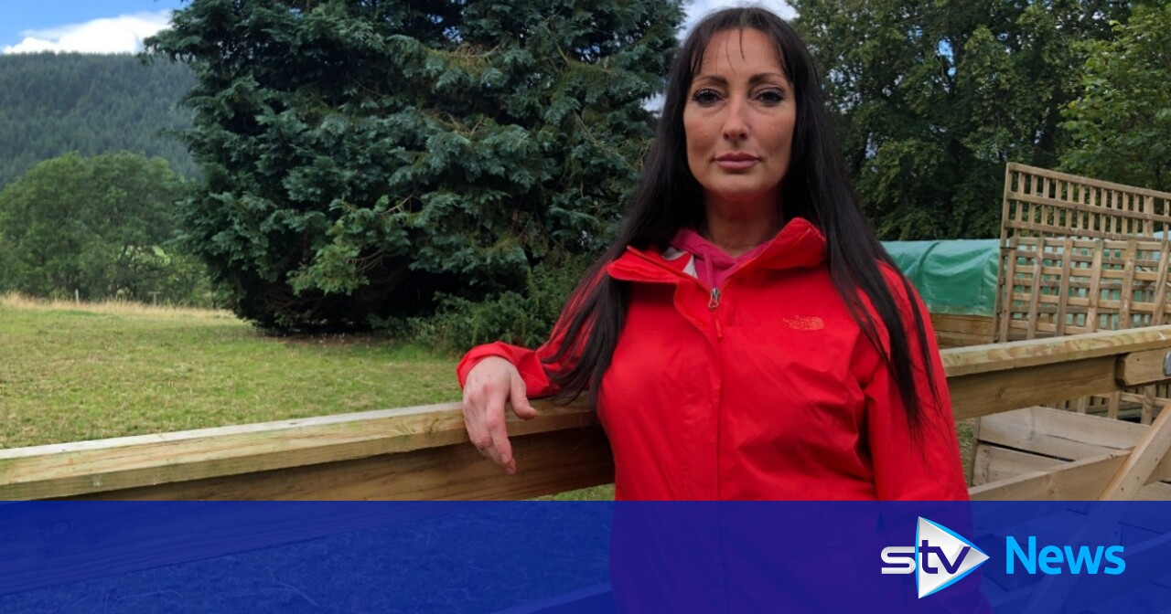 Highland animal campaigner 'sickened' after animals whipped and tormented during trip to Egypt - Vimarsana News