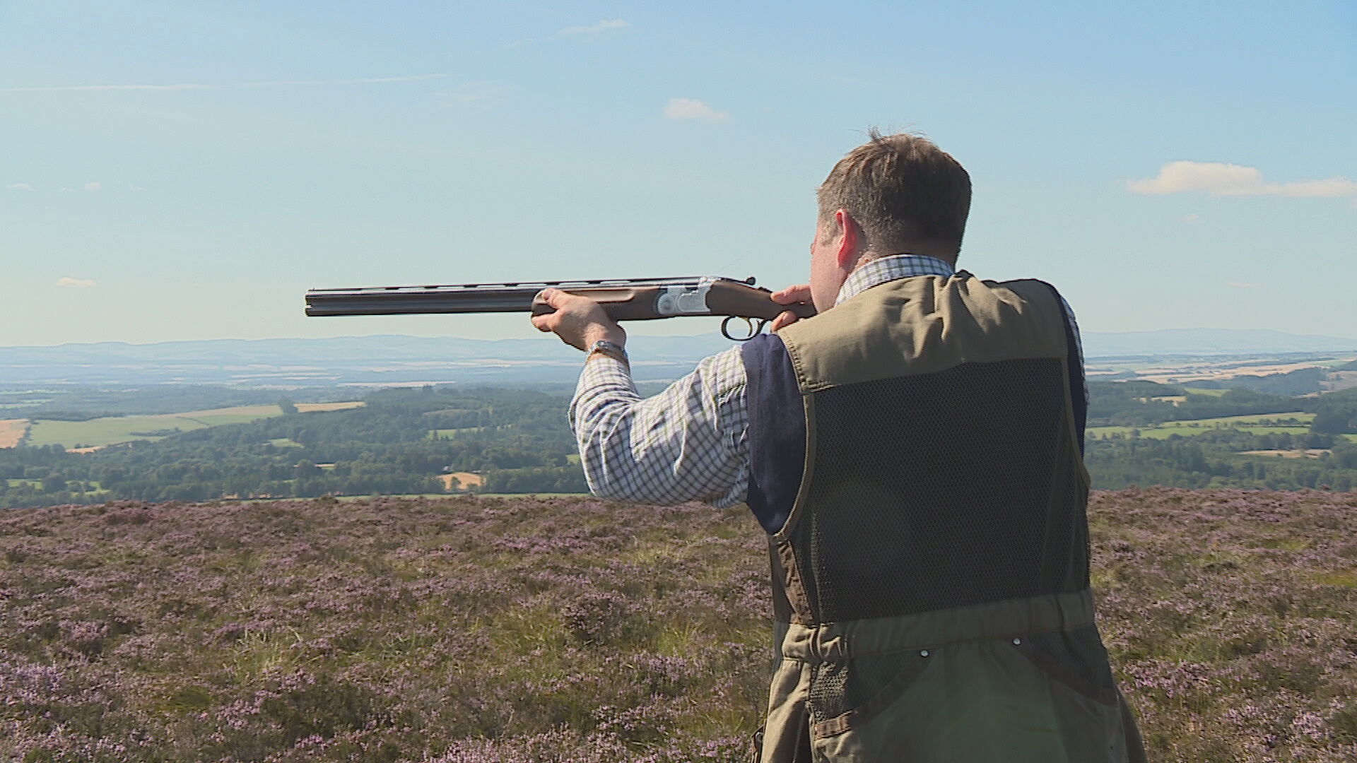 Grouse shooting will be dependent on legal management practices under the new law. Photo: STV News.