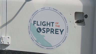 Environmentalist to follow Ospreys from Scotland to Ghana