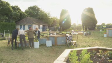 Disused Dundee bowling green turned into edible garden
