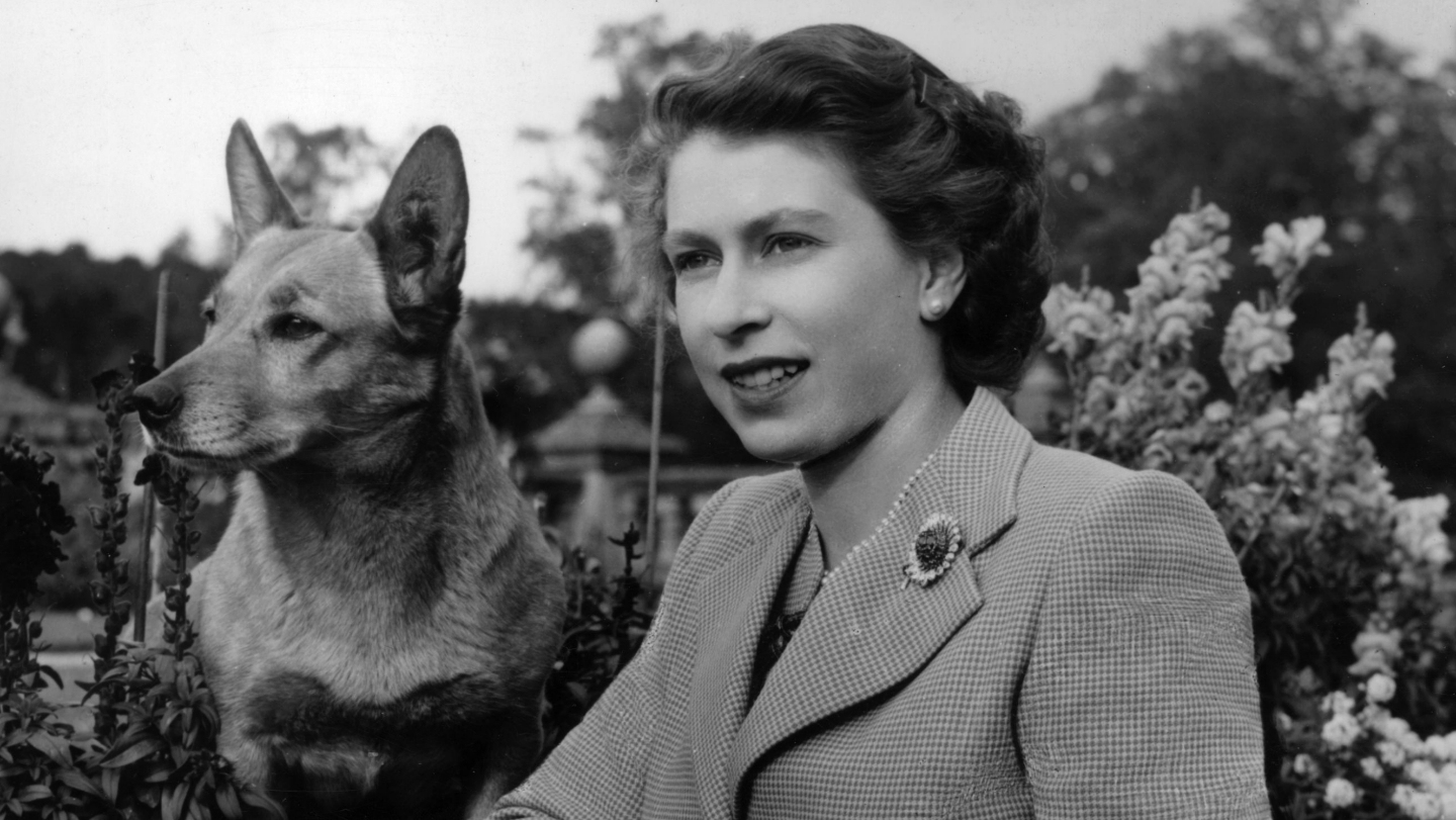 The Queen at Balmoral Castle with one of her Corgis in 1952.