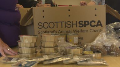 Food banks see increase in pet food requests