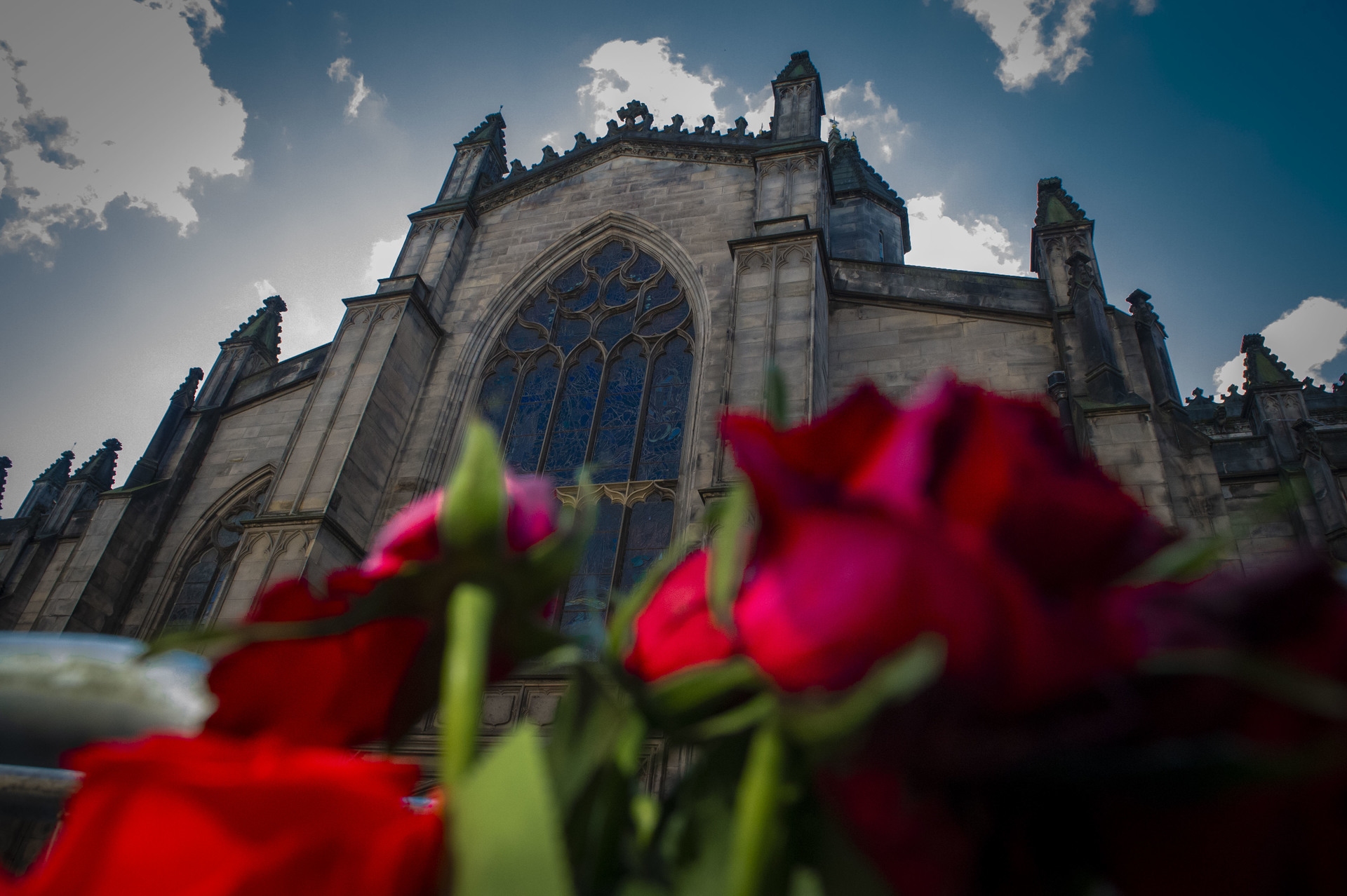 Roses outside St Giles' Cathedral (Chloe Adams).