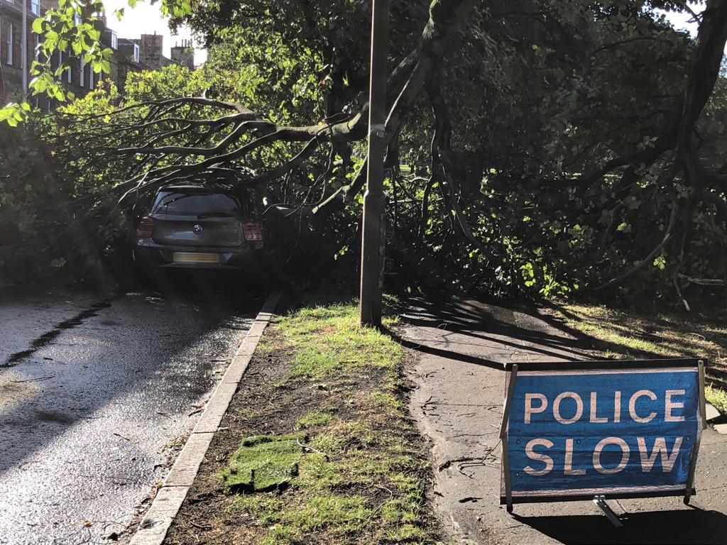 A large branch has split from a tree and crashed down upon a car in Leith 