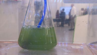 Green STEM showcase even kicks off for Dundee pupils