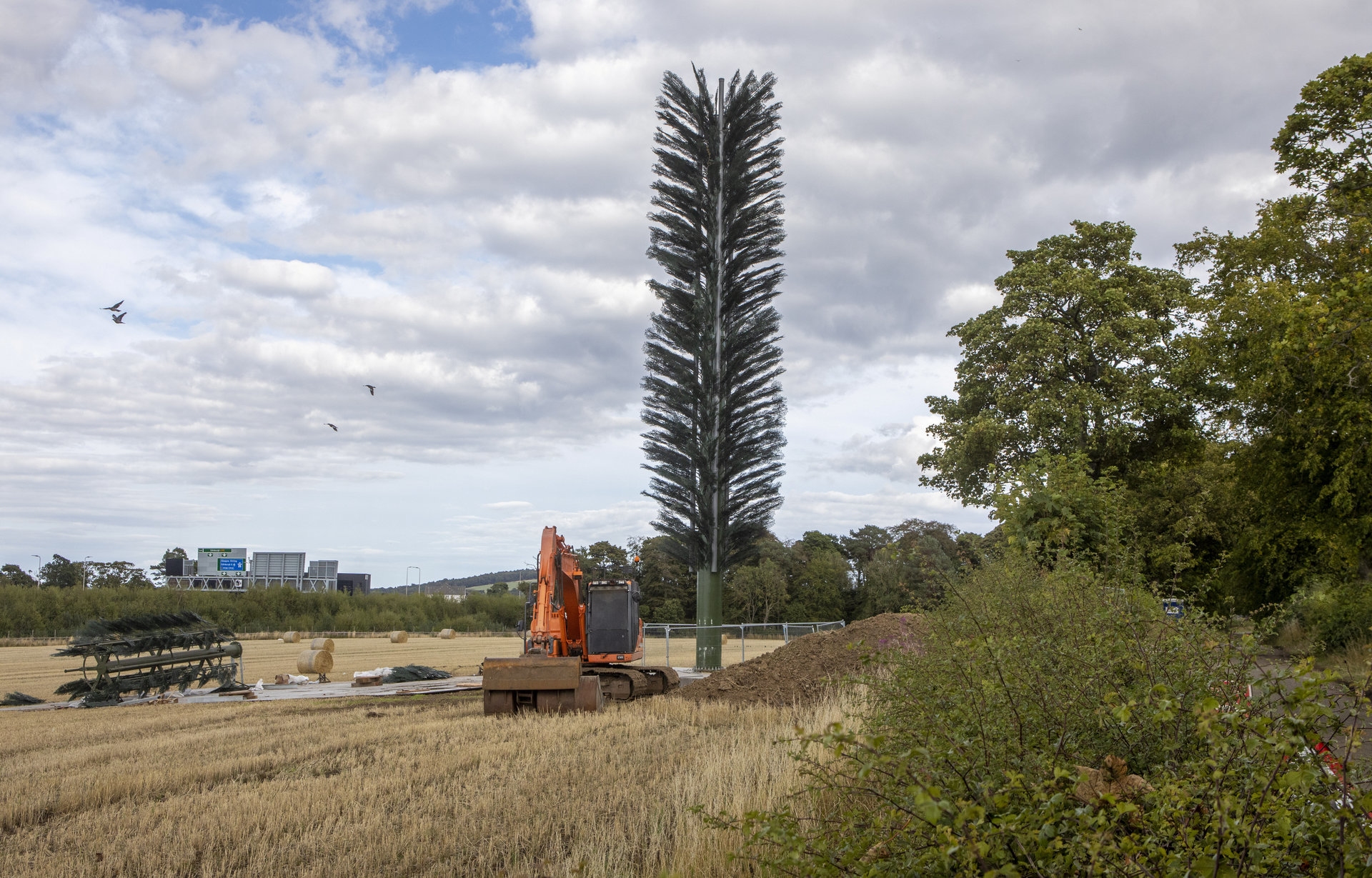 A mast disguised as a tree has been fitted near South Queensferry.