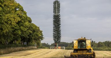 Phone mast disguised as tree sparks fury for looking like ‘giant toilet brush’ in South Queensferry