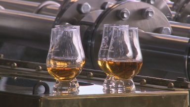 International visitors return to Distilled Festival