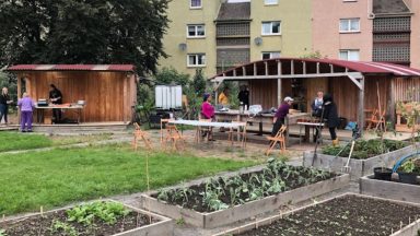 Edinburgh community garden organisers say shed fire ‘punch in the guts’ after causing £13k worth of damage