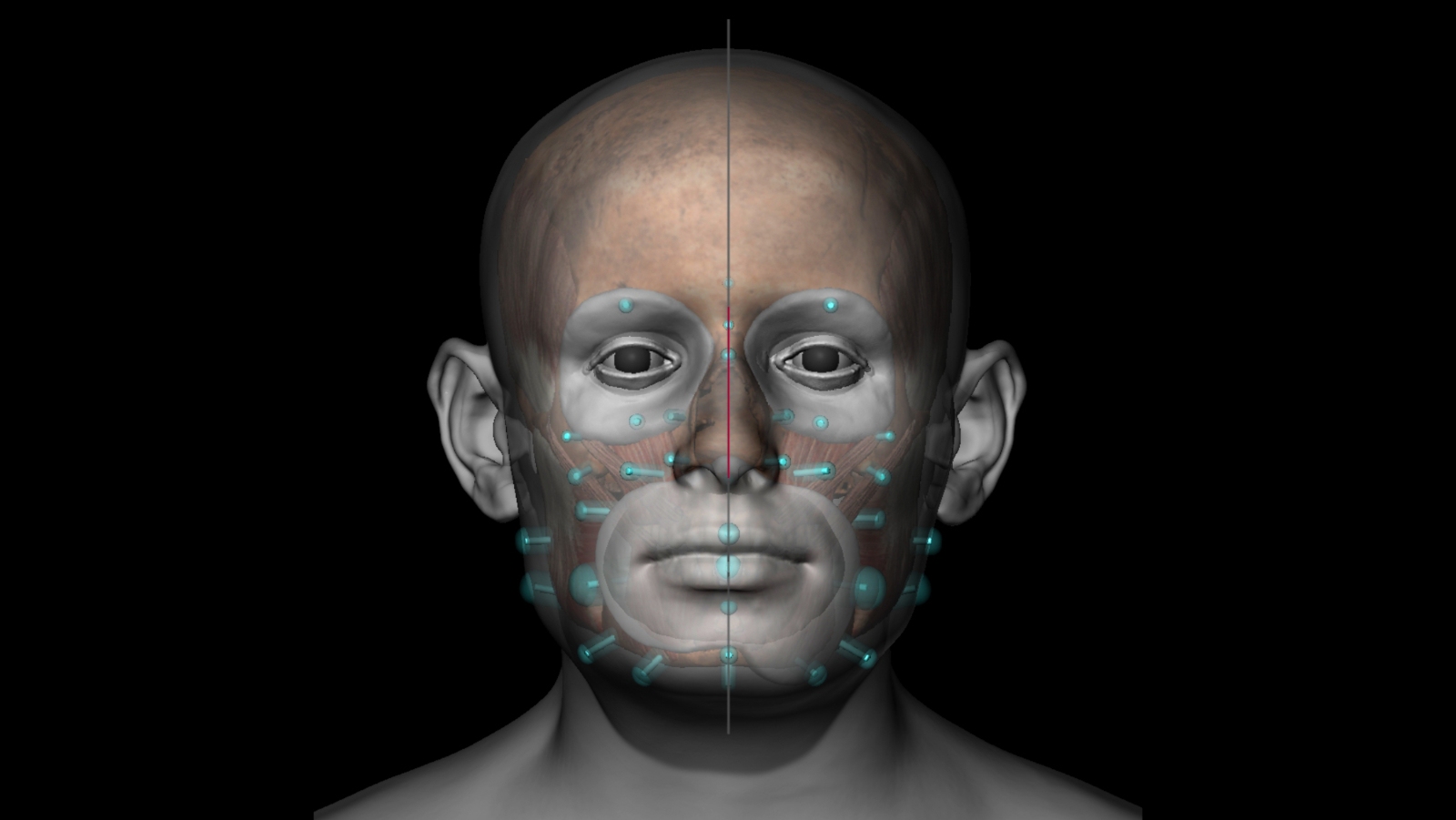 The project includes facial reconstruction by cranio-facial anthropologist, Dr Chris Rynn.