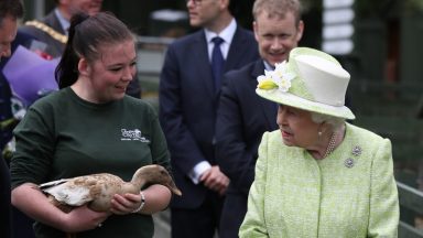 The day Queen Elizabeth II encountered a ‘cheeky’ duck at Gorgie City Farm in Edinburgh