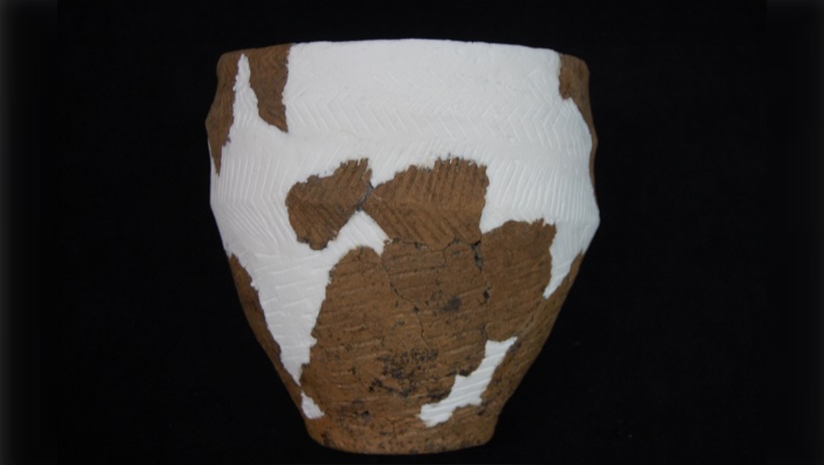 Kirkcaldy Galleries displays 5,000-year-old pot unearthed in 1980 demolition of town butcher shop