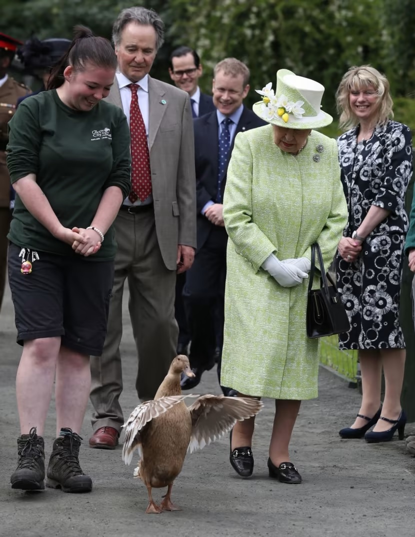  The Queen on Gorgie farm with duck Olive