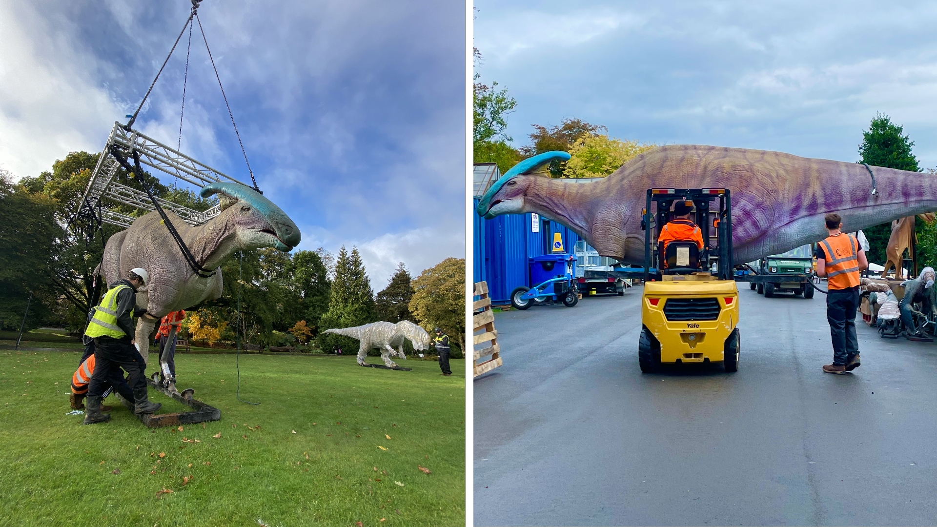 Dinosaurs 'stampeded' into the gardens on Wednesday morning, as preparations for the light show began. 