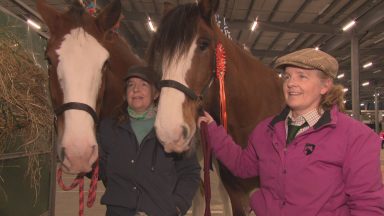 World Clydesdale Show makes its Scottish debut in Aberdeen