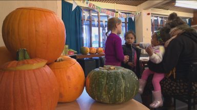 Public encouraged to eat their Halloween pumpkins
