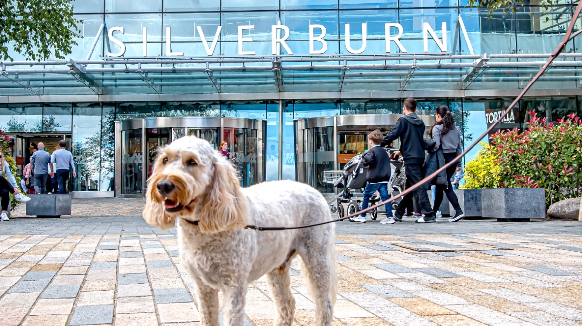 Glasgow Silverburn shopping centre allows customers to bring dogs inside for first time