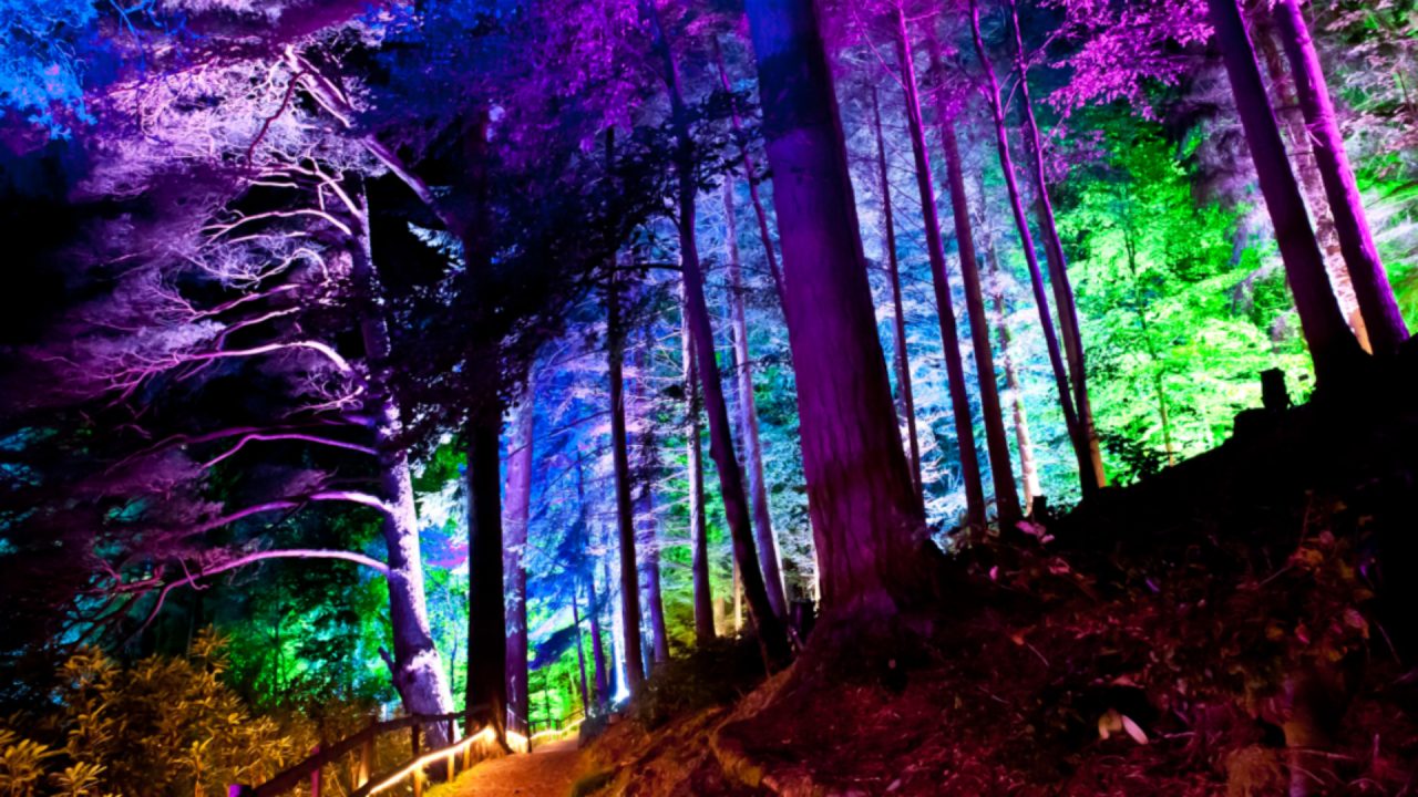 Enchanted Forest:  Pitlochry light show cancelled for second night as severe rainfall prompts safety fears
