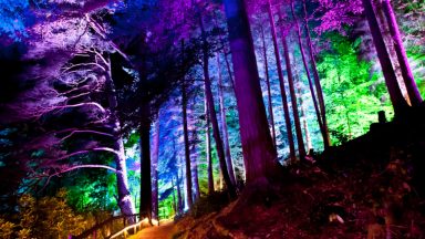 Enchanted Forest: Cost of running Perthshire light show soars by 30%, organisers said