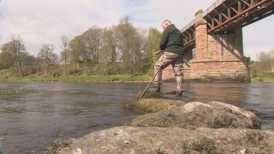 River Tay sees best salmon fishing season in recent years