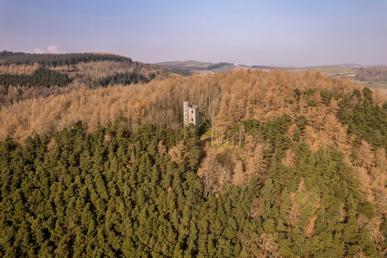 Binnhill Tower is surrounded by woodland